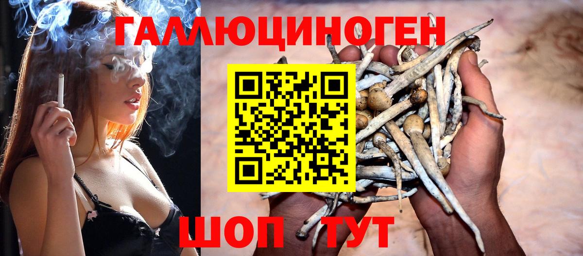 Галлюциногенные грибы Cubensis Химки