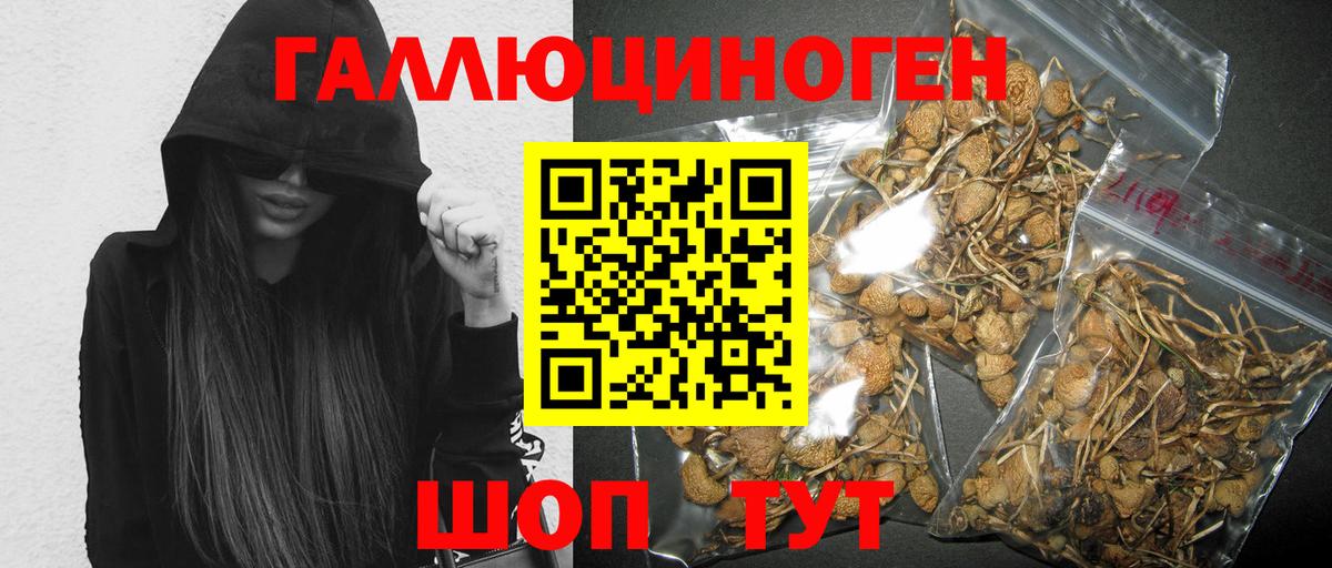 Галлюциногенные грибы GOLDEN TEACHER  Вход с VPN  Химки 